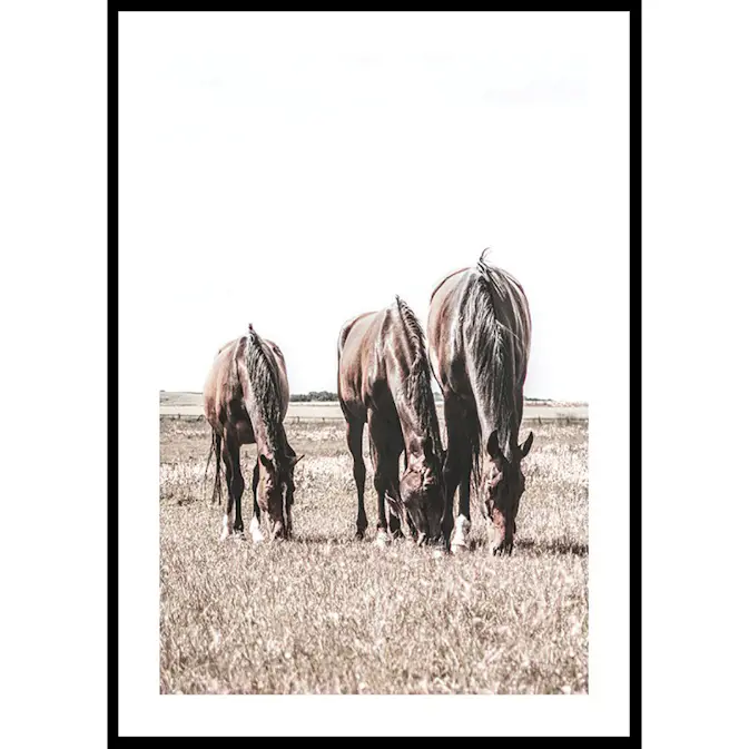 Poster Gallerix Three Brown Horses
