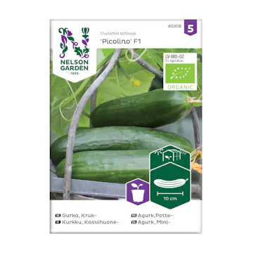 Frö Krukgurka Nelson Garden Picolino F1 Organic