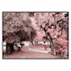 Poster Gallerix Pink Trees No1