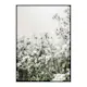 Poster Gallerix White Flowers In Spring