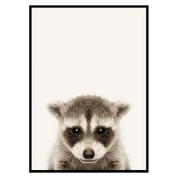 Poster Gallerix Baby Raccoon