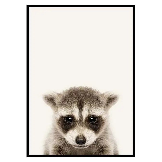 Poster Gallerix Baby Raccoon