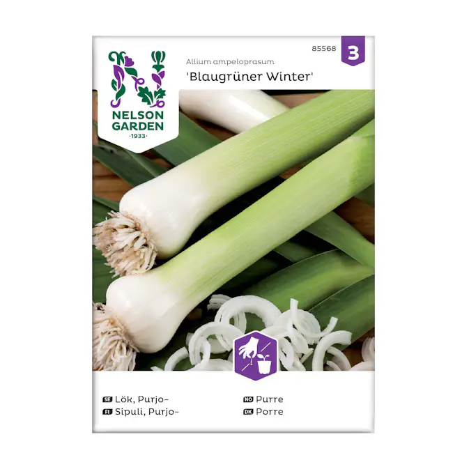 Frö Purjolök Nelson Garden Blaugrüner Winter