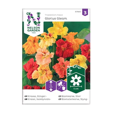 Frö Slingerkrasse Nelson Garden Glorius Gleam Mix