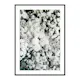 Poster Gallerix Flower Bed