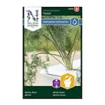 Frö Dill Nelson Garden Blad Thalia