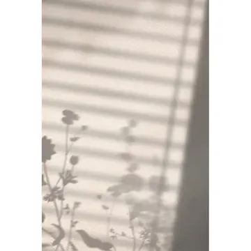 Posters Venture Home Flower Shadow Vit