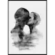 Poster Gallerix Monochrome Kiss