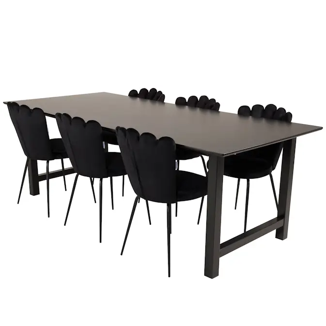 Matgrupp furniture/fashion Clara med 6 Limhamn Light Stolar