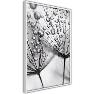 Poster Artgeist Affisch Morning Dew
