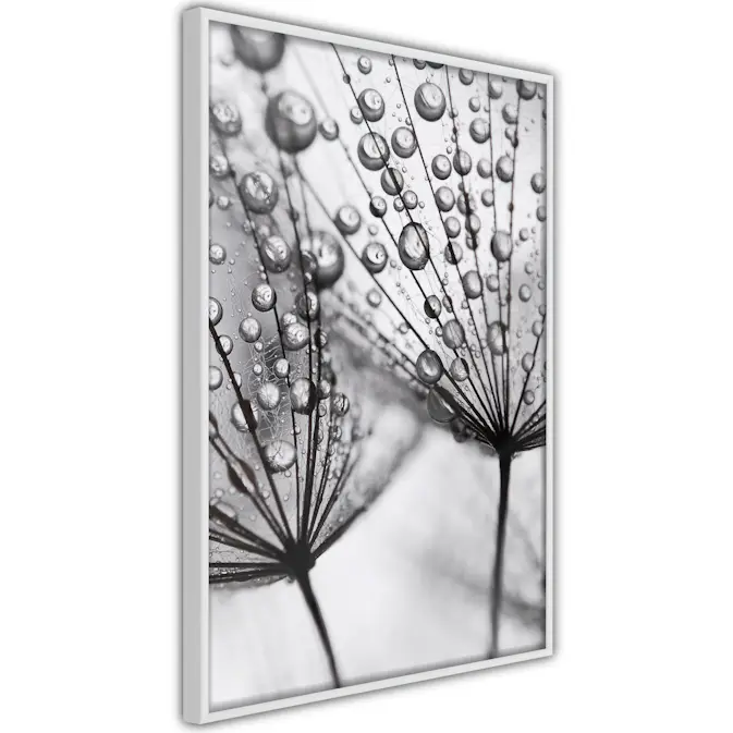 Poster Artgeist Affisch Morning Dew
