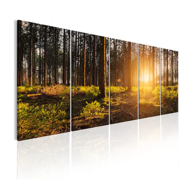 Tavla Arkiio Summer Morning