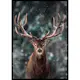 Poster Gallerix Majestic Deer
