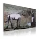 Tavla Arkiio Zebra Tvätt Banksy 60x40