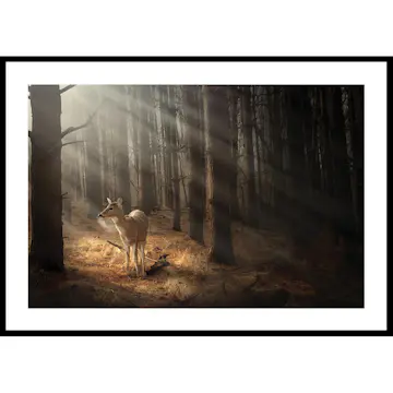 Poster Gallerix Deer In Forest