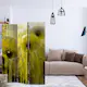 Rumsavdelare Skärmvägg Arkiio Yellow Madness 135x172 cm
