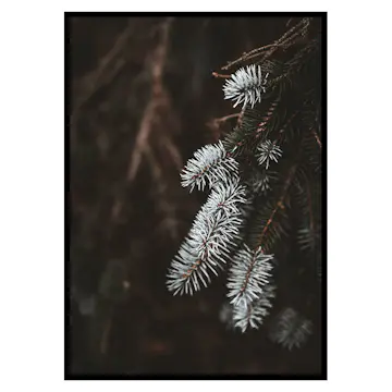 Poster Gallerix Fir Needle In White
