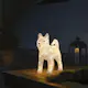 Dekorationsfigur Gnosjö Konstsmide Hund Akryl Husky 43 cm 88 LED