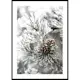 Poster Gallerix Snowy Fir Branch