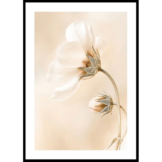 Poster Gallerix Spring Flowers No1