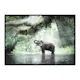 Poster Gallerix Elephant In Sunlight