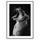 Poster Gallerix Yawning Lion