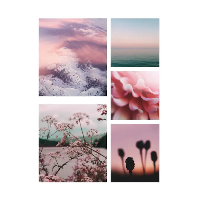 Tavla Art For The Home 5 Delar Tystnad Rosa