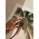 Poster Gallerix Tropical Serenity Sunset