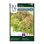 Frö Sallat Nelson Garden Bladbatavia Lollo Rossa