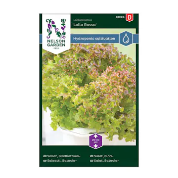 Frö Sallat Nelson Garden Bladbatavia Lollo Rossa