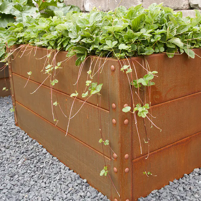 Odlingslåda Flexigarden Cortenplåt 2 mm 800x1200x600 mm
