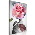 Tavla Arkiio Rose and Fur