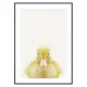 Poster Gallerix Baby Duck