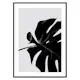 Poster Gallerix Monstera Black