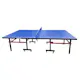 Pingisbord ProSport Officiell Storlek för Utomhusbruk