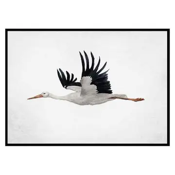 Poster Gallerix Watercolor Stork