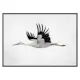 Poster Gallerix Watercolor Stork