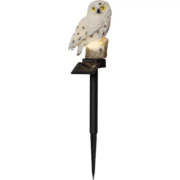 Solcellsdekoration Star Trading Owl LED Solcellslampa