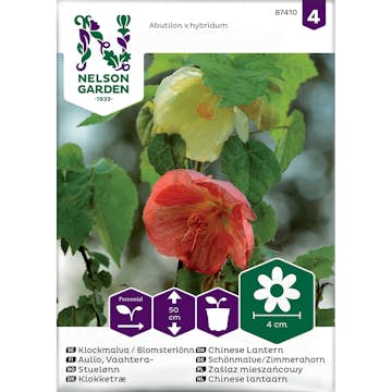 Frö Klockmalva Blomsterlönn Nelson Garden Bl färger