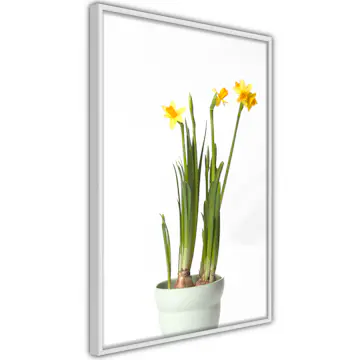 Poster Artgeist Affisch Narcissus