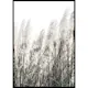 Poster Gallerix Wild Grass Tall