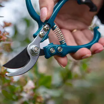 Trädgårdssax Omnia Garden Ergo Pruner Pro