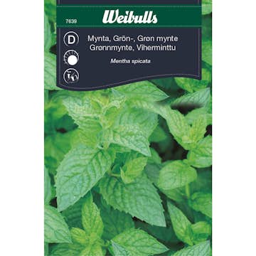 Frö Mynta Weibulls Grönmynta