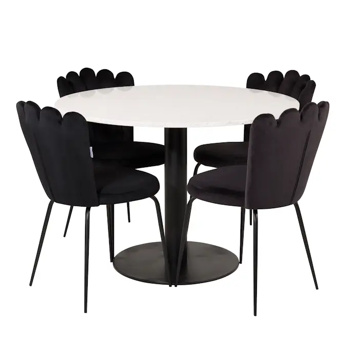 Matgrupp Venture Home Roxanna med 4 Limhamn Light Stolar