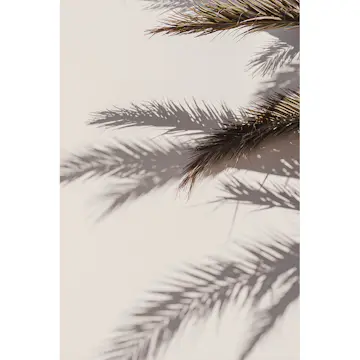 Posters Venture Home Shadow Beige