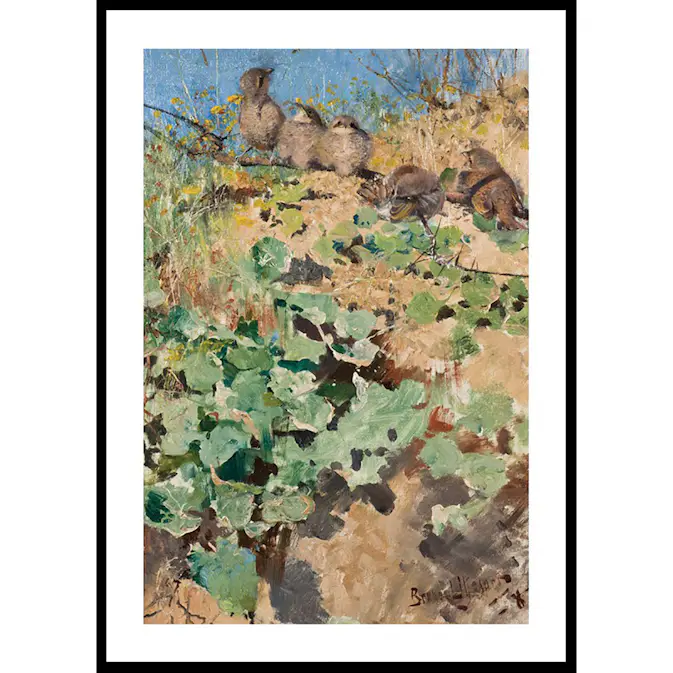 Poster Gallerix Törnskateungar By Bruno Liljefors