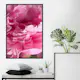 Poster Artgeist Affisch Beautiful Peonies