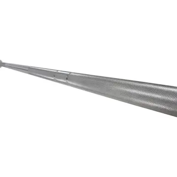 Skivstång Master Fitness Internationell Skivstång Special