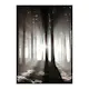 Poster Gallerix Misty Autumn Morning