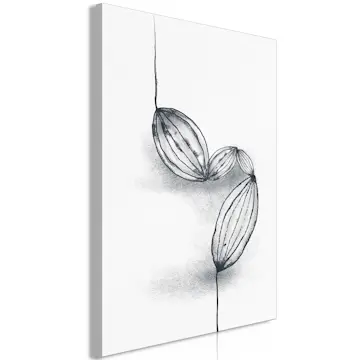 Tavla Arkiio Cocoa Beans